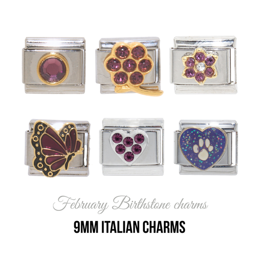 Various February Birthstones - Birthmonth 9mm Italian charm