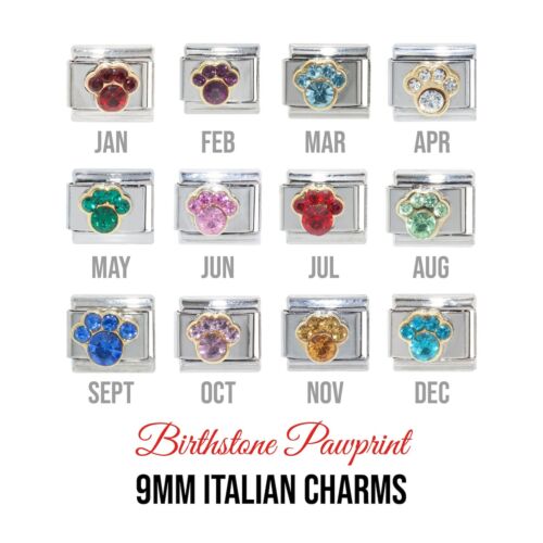 Birthstones - Paw print 9mm Italian charm