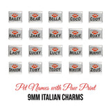 Pet name with pawprint 9mm Italian charms